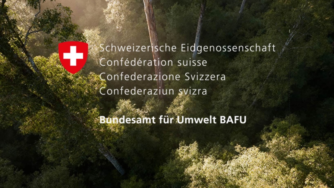 BOLD BAFU Wald teaser v1