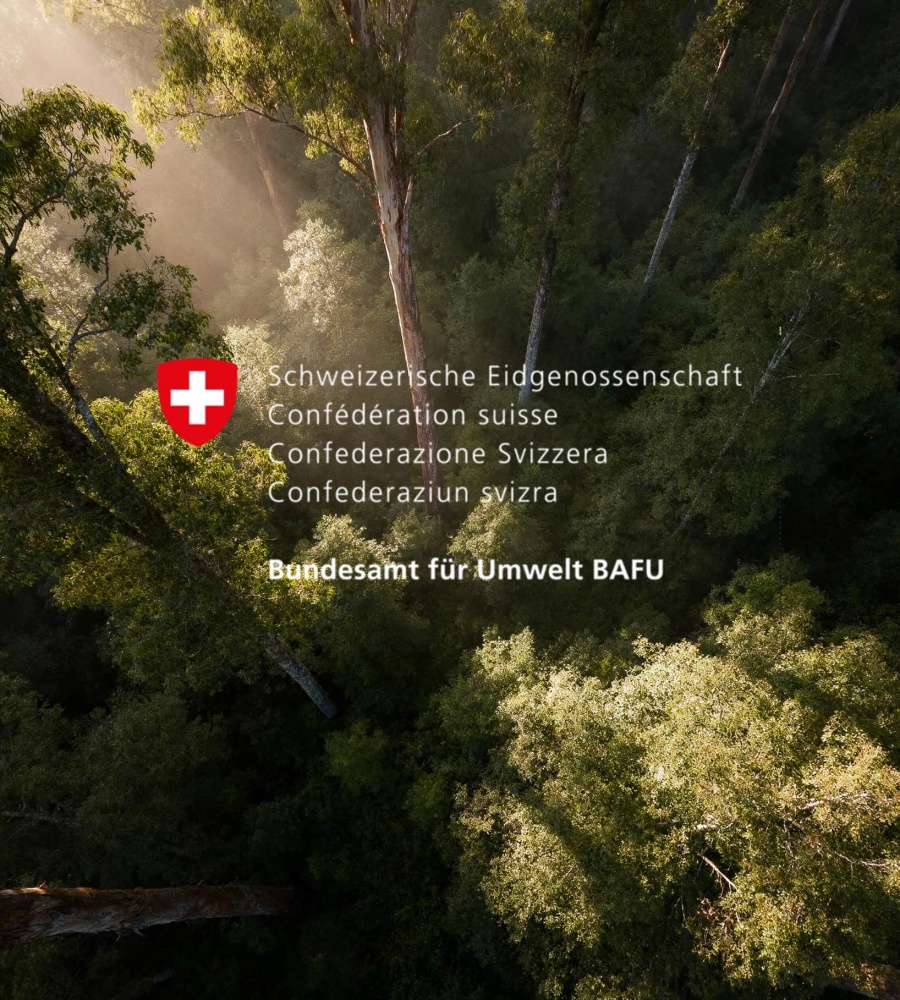 BOLD BAFU Wald teaser v1