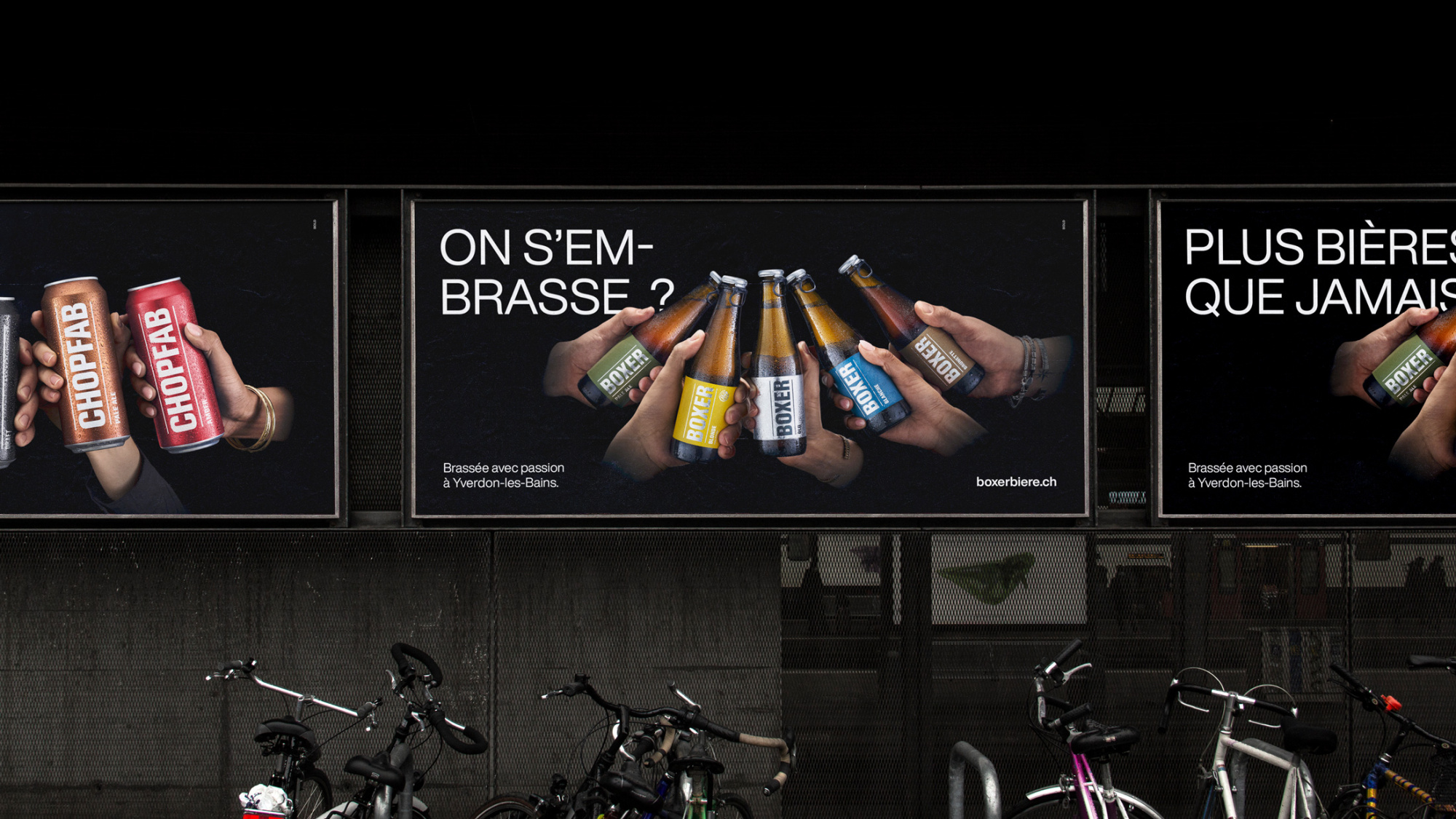 BOLD Case 2023 ChopfabBoxer8