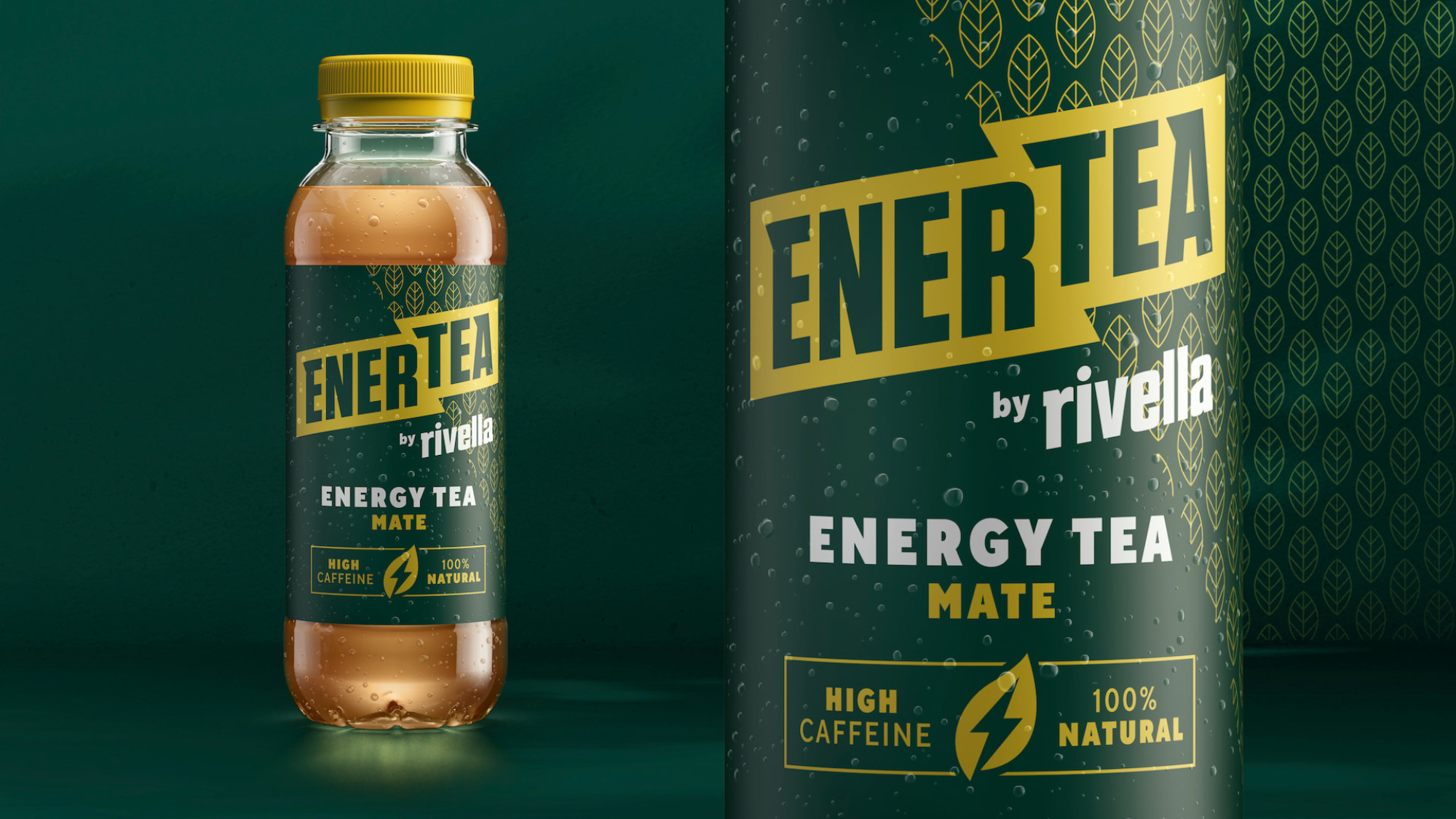 BOLD Case 2023 Enertea2