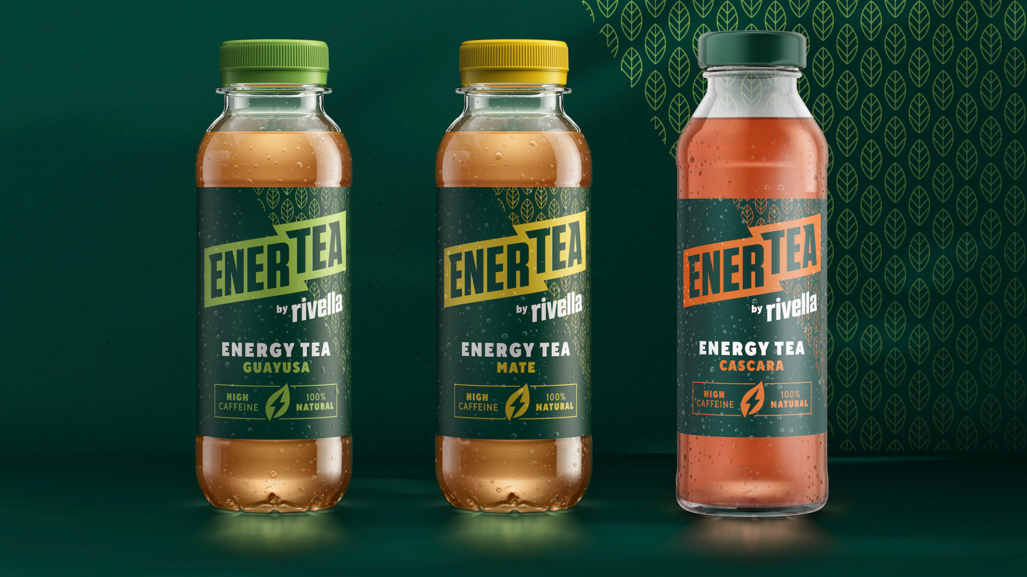 BOLD Case 2023 Enertea3