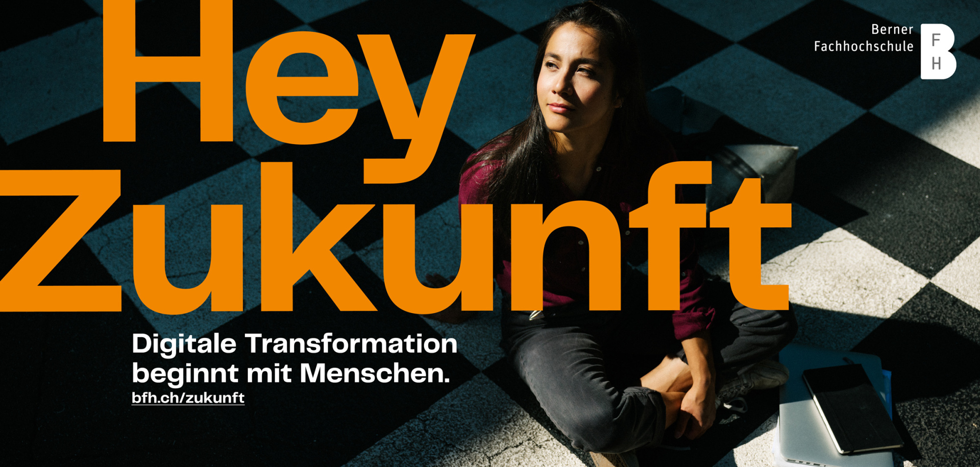 BOLD Case BFH Dachkampagne Plakate F12 DE 04