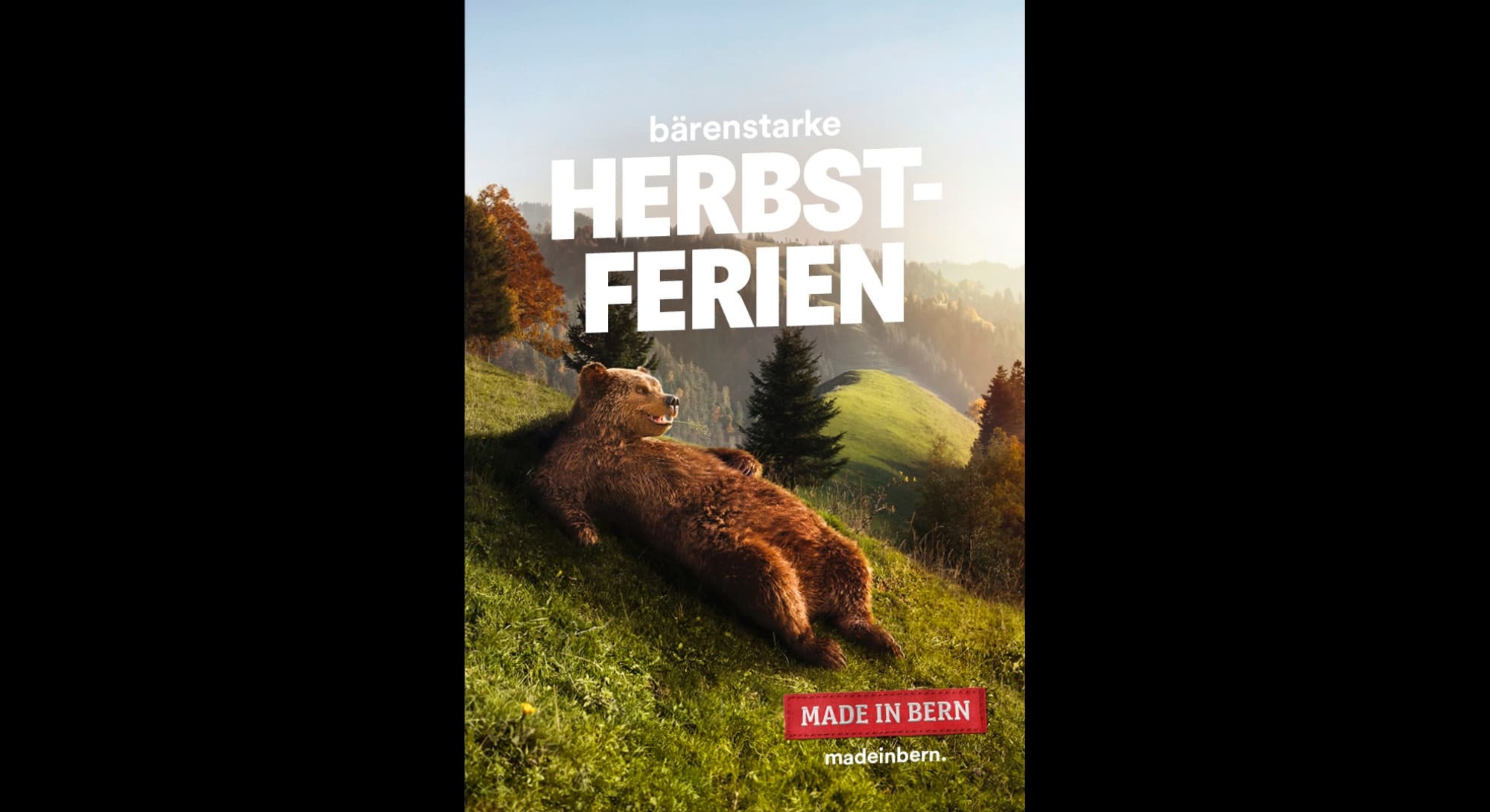 BOLD Case MiB Visuals v23