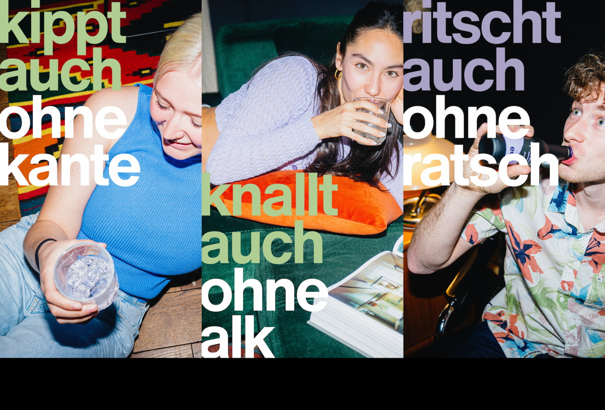 BOLD Case echo Visuals3 v4