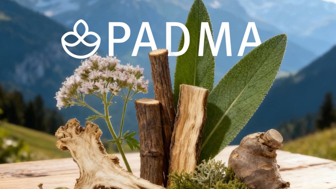 BOLD Padma teaser small