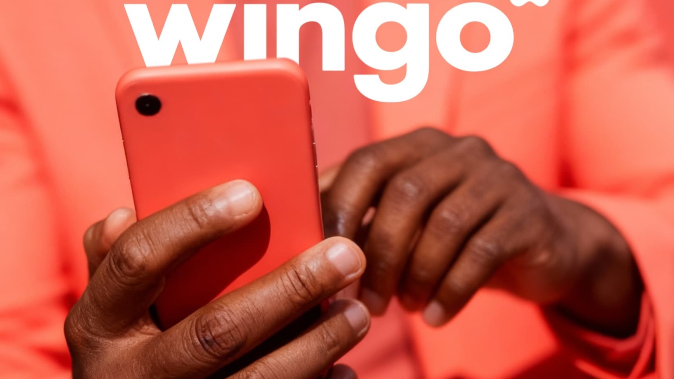 BOLD Wingo teaser small